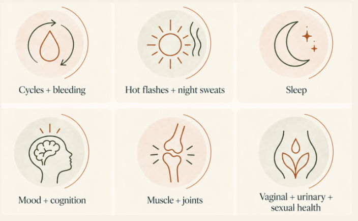 Six domains of perimenopause: cycles and bleeding, hot flashes and night sweats, sleep, mood and cognition, muscle and joints, and vaginal, urinary and sexual health